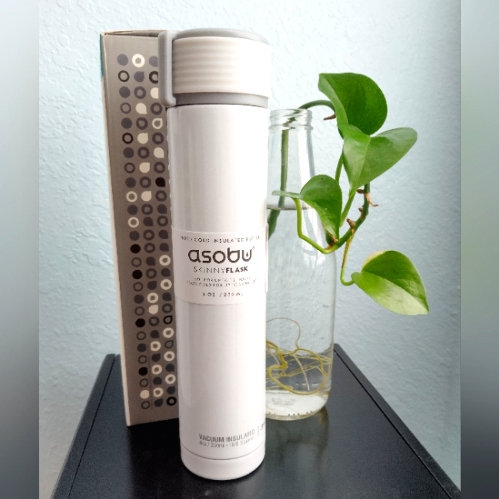 Skinny Mini Slim Stainless Insulated Water Bottle with Carrying Handle by Asobu